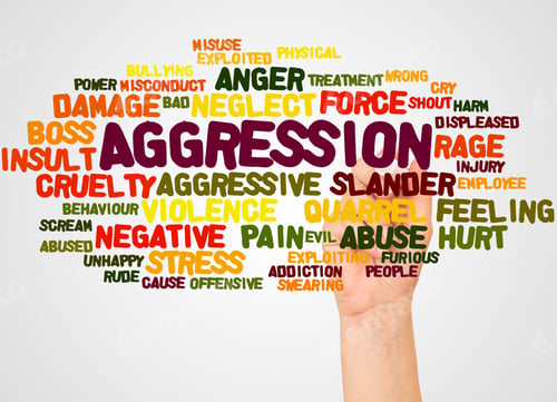 Preview: Aggression Word Cloud And Hand With Marker Concept On White Background.
