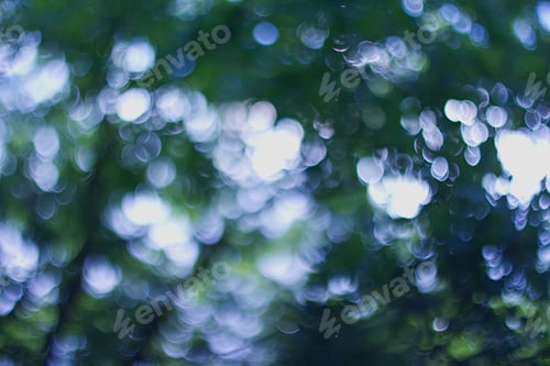 Preview: Green Oak Background.
