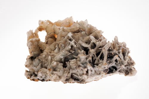 Preview: Iron Flower Aragonit Mineral On The White Background