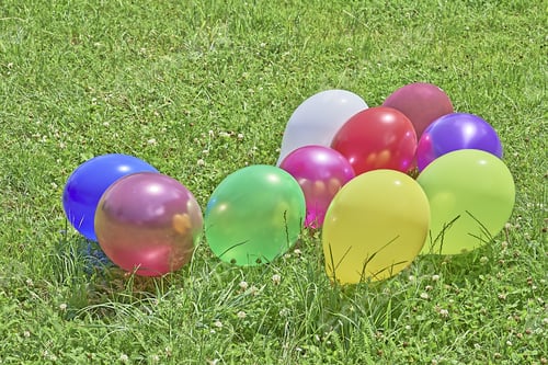 Preview: Different Colored Balloons In The Grass