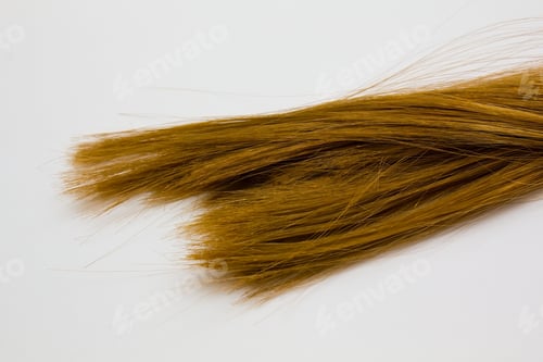 Preview: Brown Hair For Background.