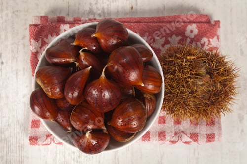 Preview: Fresh Chestnut Fruit Typical In Autumn Season