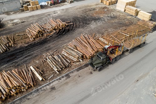 Preview: Log Warehouse At A Woodworking Enterprise Top View.