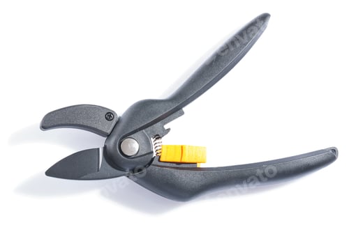 Preview: Black Secateurs Isolated