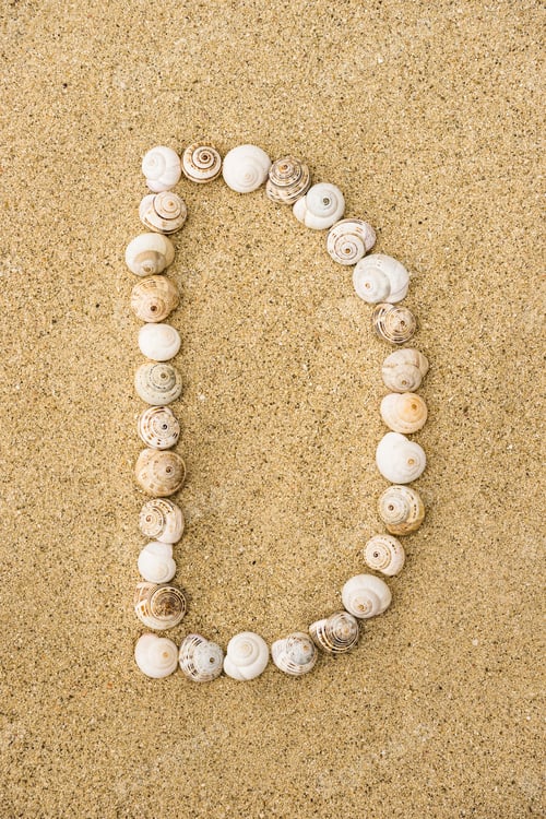 Preview: Summer Alphabet Letters, Letter D Made Of Seashells On Sand.