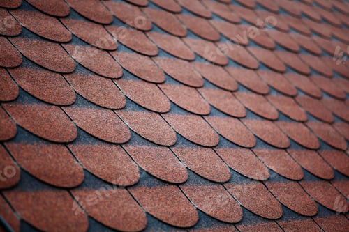 Preview: Color Picture Of Some Roof With Tiles