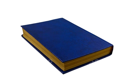 Preview: Blue Book Isolated On A White Background