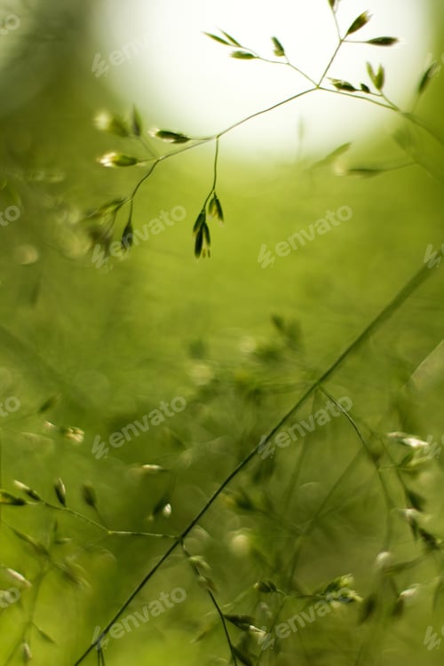Preview: Green Natural Abstract Background.