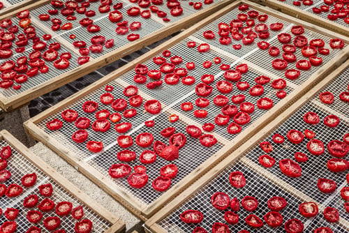 Preview: Delicious Pachino Tomatoes Drying At The Sun In A Huge Production In Sicly