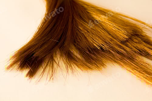 Preview: Brown Hair On Background.