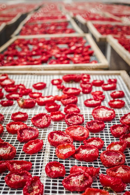 Preview: Delicious Pachino Tomatoes Drying At The Sun In A Huge Production In Sicly
