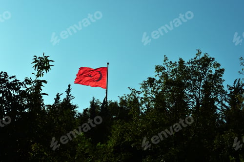 Preview: Turkish Flag Among The Trees
