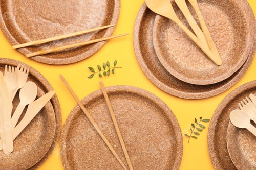 Preview: Eco Plates With Cutlery On Color Background