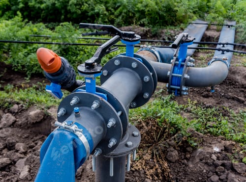 Preview: Drip Irrigation System. Water Saving Drip Irrigation System Being Used In A Young Carrot Field