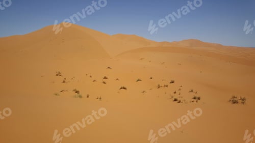 Preview: The Dunes Of Erg Chebbi In Morocco