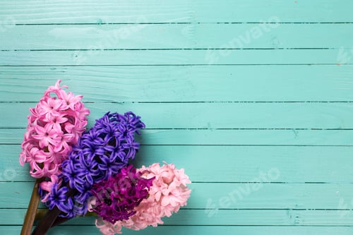 Preview: Background With Hyacinths On Green Painted Wooden Planks. Selective Focus. Place For Text.