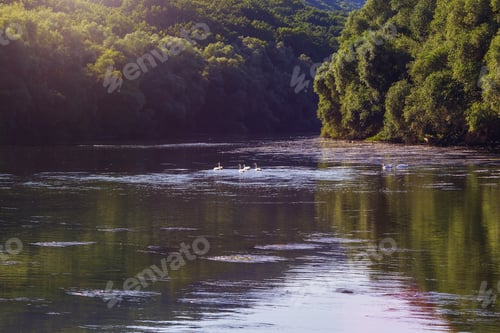 Preview: View Of The River In The Rays Of The Sunset. Toned Background Selective Focus.