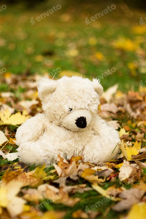 Preview: Autumn Colored Scene - Bear In Leaves.
