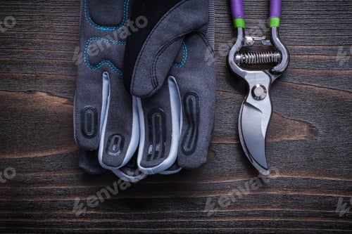Preview: Pruning Shears Protective Gloves On Vintage Wood Board Agriculture Concept.