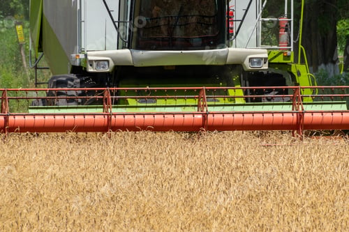 Preview: Harvester At Work On The Field Harvesting Ripe Wheat