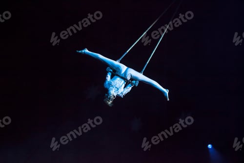 Preview: Air Circus Performances In The Circus