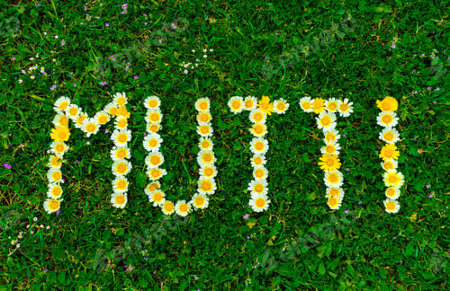 Preview: Mother Day Or Birthday Gift Card, German Word Mutti Means Mom, Written With Daisy Flowers In Grass.