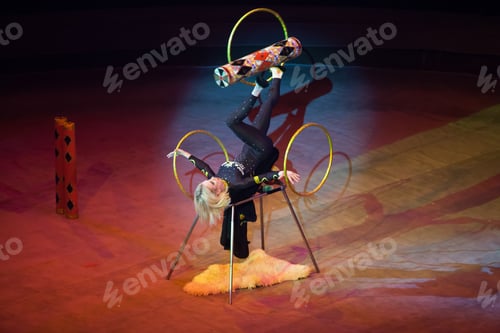 Vista previa: Juggler Performance In The Circus
