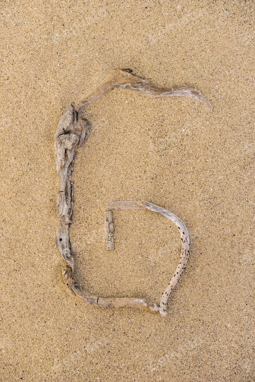 Preview: Sand Beach Letters Alphabet, Letter G Written With Driftwood.