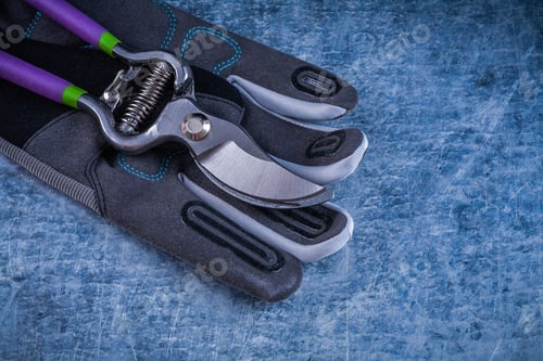 Preview: Pruning Shears Staff Protective Gloves On Metallic Surface Agriculture Concept.