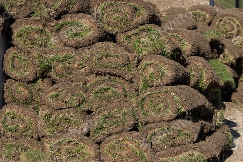 Preview: Pile Of Sod Rolls, Ready To Be Installed. Selective Focus.