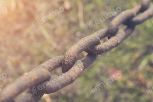 Preview: Chain Link, Toned