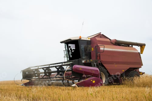 Visualização: Combine Harvesters In A Field Of Wheat To Harvest
