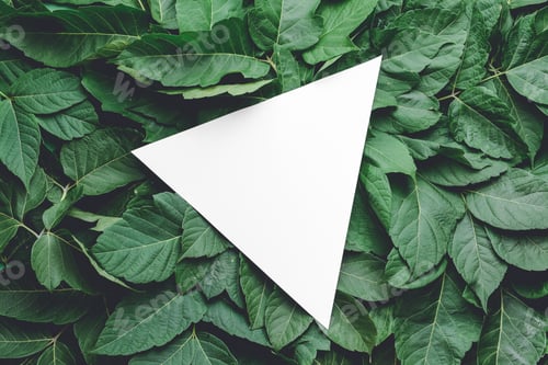 Preview: Empty Card With Green Leaves