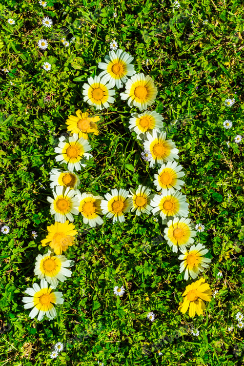 Preview: Flower Alphabet Letter A.