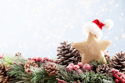 Preview: Christmas And New Year Holidays Bokeh Background. Christmas Decoration Banner - Snowy Pine Cones On