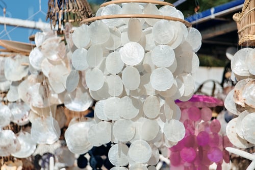 Preview: A Closeup Of A Seashell Decoration For Hanging Different Colors.