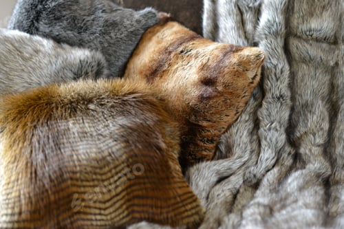 Preview: Faux Fur Throws And Cushions Room Interior