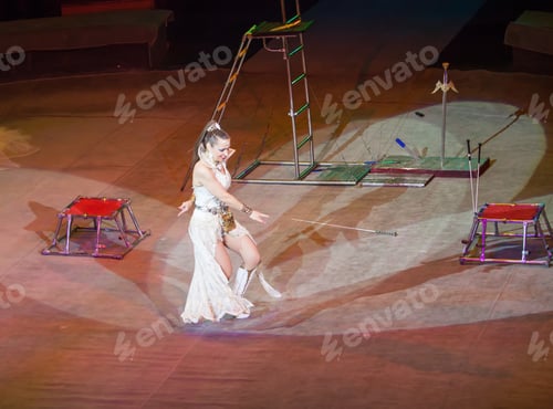 Preview: Dog Trainer In A Circus