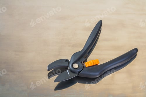 Preview: Single Black Secateurs