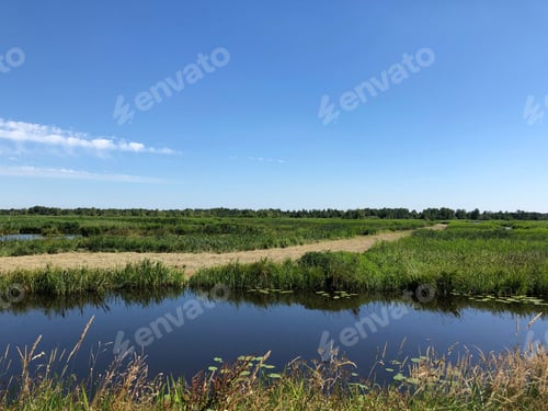 Preview: Nature In The Alde Feanen National Park In Friesland The Netherlands