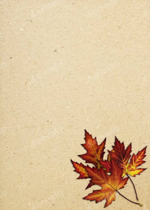 Preview: Autumn Leaves On The Old Paper Sheet