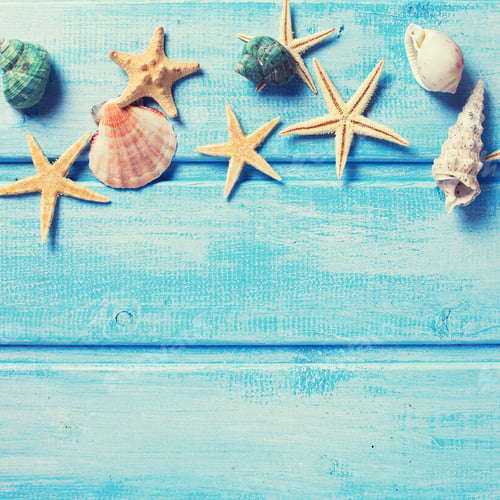 Preview: Different Marine Items On Blue Background. Square Image.Selective Focus. Place For Text. Toned