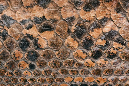 Preview: Snake Skin Texture As A Background