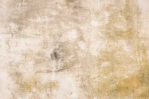 Preview: Grunge Wall Plaster Texture.