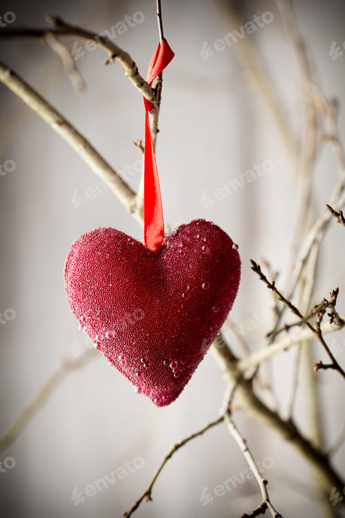 Preview: Red Heart Hanging On A Tree Branch.