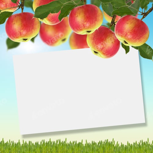 Preview: Empty Tag For Your Text And Fresh Yellow Forsythia Flowers. Background For Design.