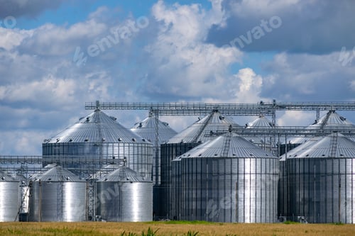 Preview: Grain Elevator Silos Near The Wheat Field