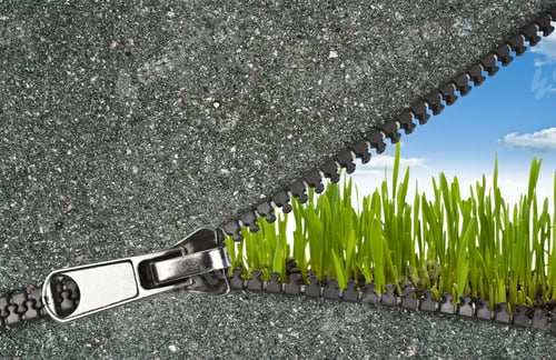 Preview: Zipper Overlooks The Spring Field