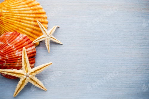 Preview: Starfish On Gray Stone Surface. Travel Background.