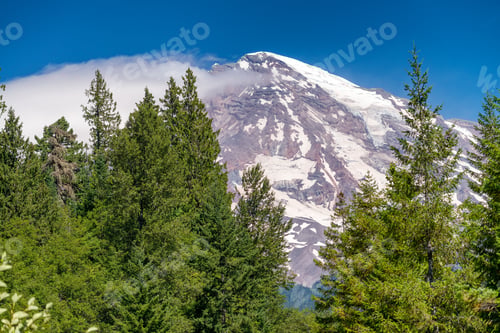 Preview: Majesty Of Mount Rainier In Summer Time.